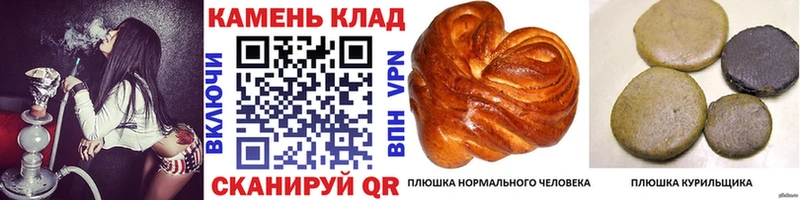 ГАШИШ гашик Суздаль