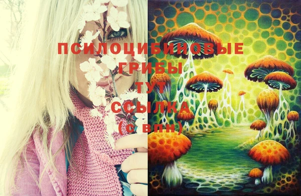 мескалин Абаза