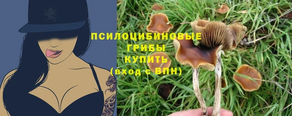 мескалин Абаза